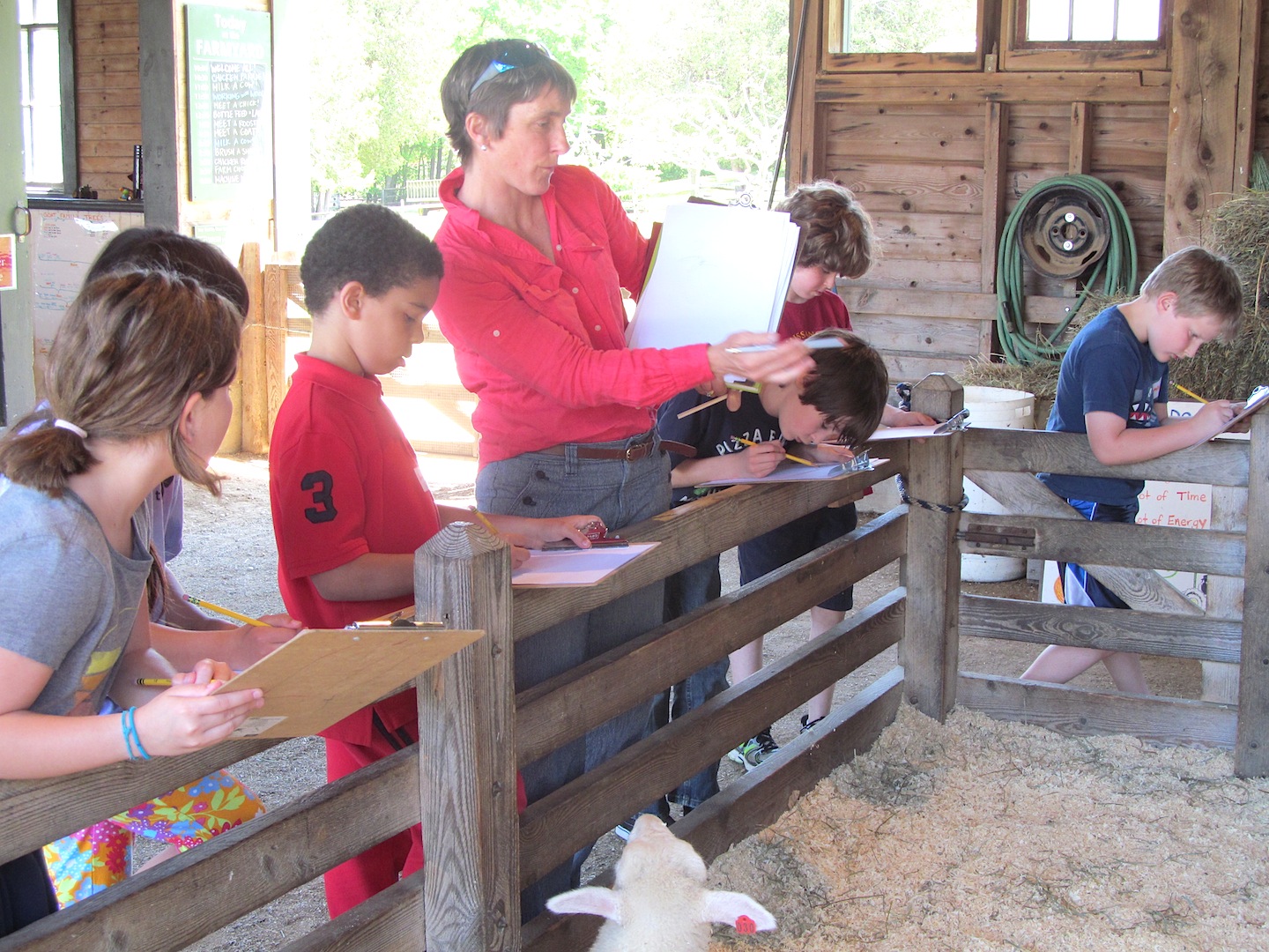 Jean in a red shirt showing children how to draw animals in the farm yard.  