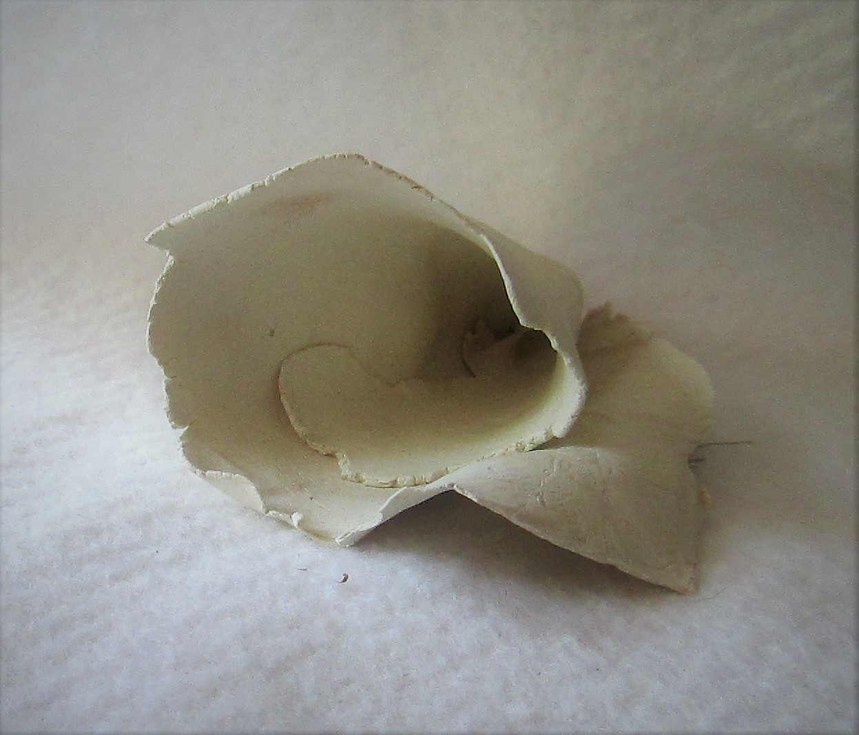 clay formed into seashell