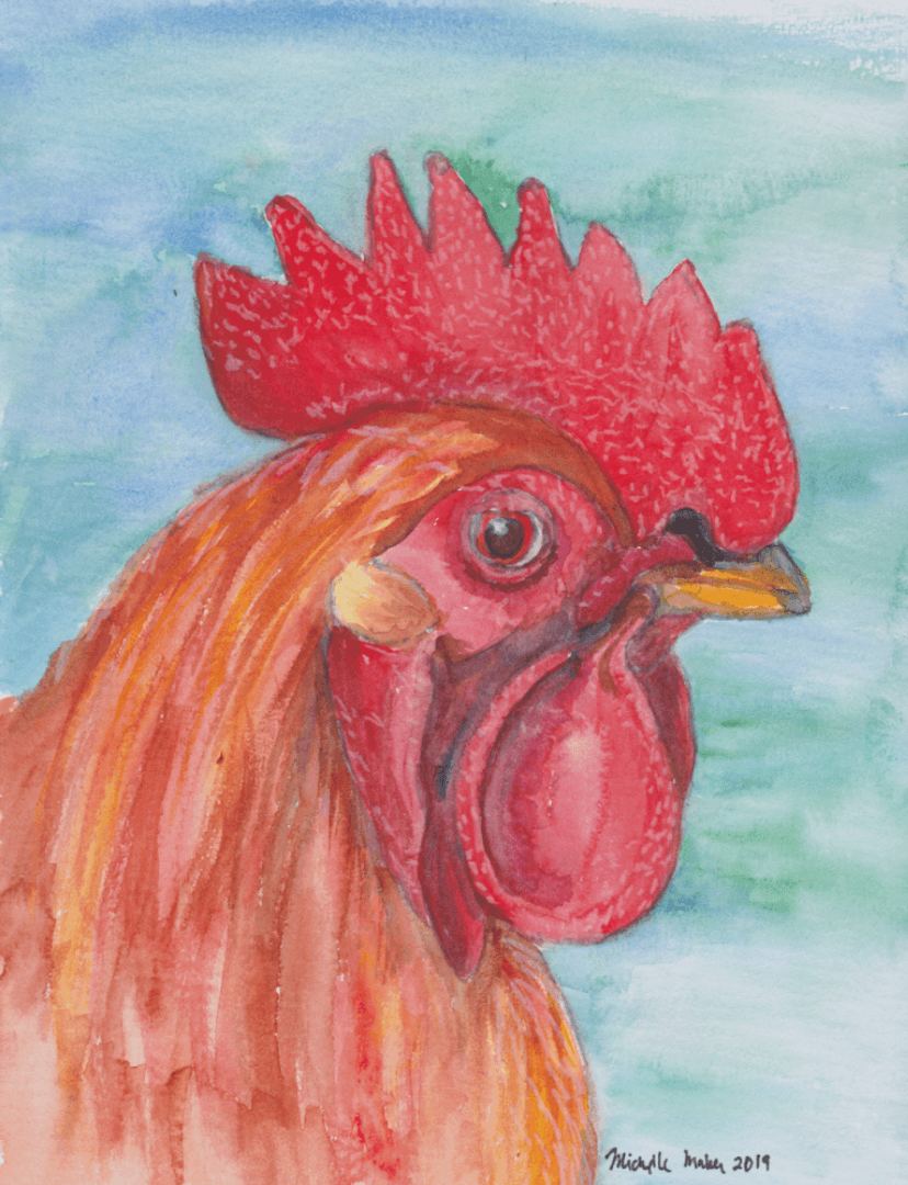 watercolor of a red rooster/chicken in profile on a blue green background