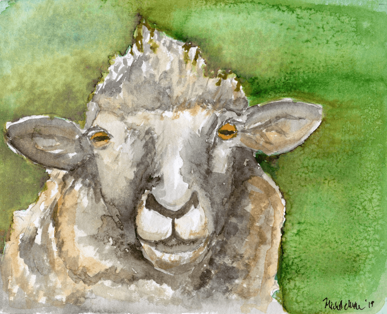 watercolor sheep face forward on green background