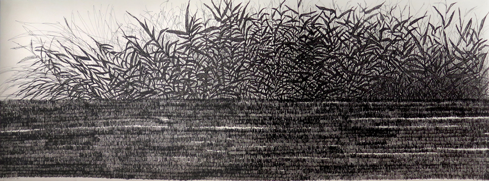 Grasses 1, 2, 3, 2022, drawings both in ink and colored pencil and marker, investigate my longing for fields of repeated forms. 