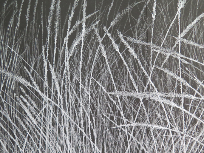 Different kinds of grasses are alluded to in each drawing of the Grasses series. Some have broad leaves on the stalks, some have delicate seed pods ready to burst. In every case, the stalks move with the wind, stand straight, or fall.