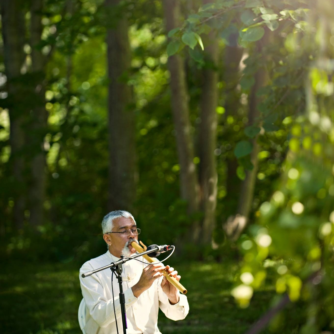 Hawk presenting at an outdoor wedding