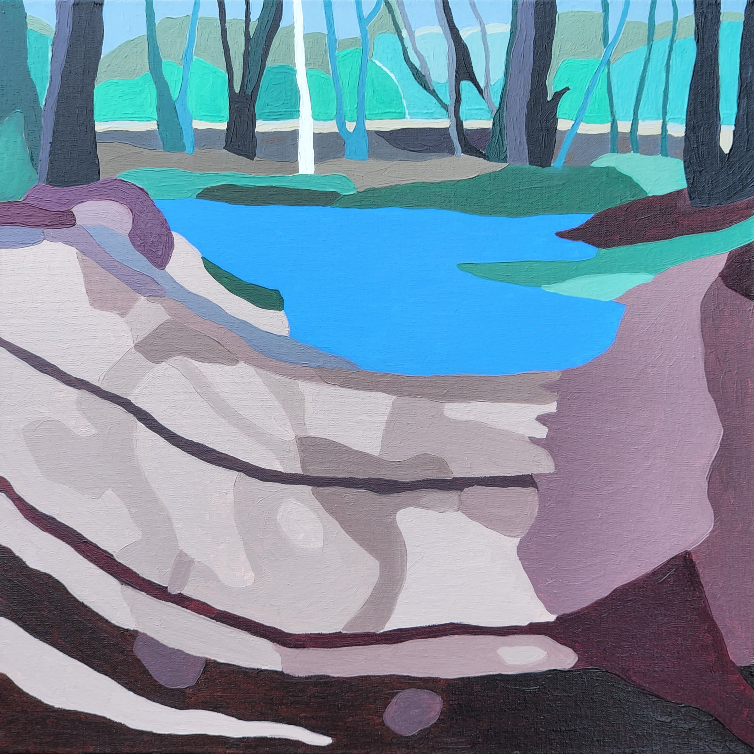semi-abstract landscape of a vernal pool