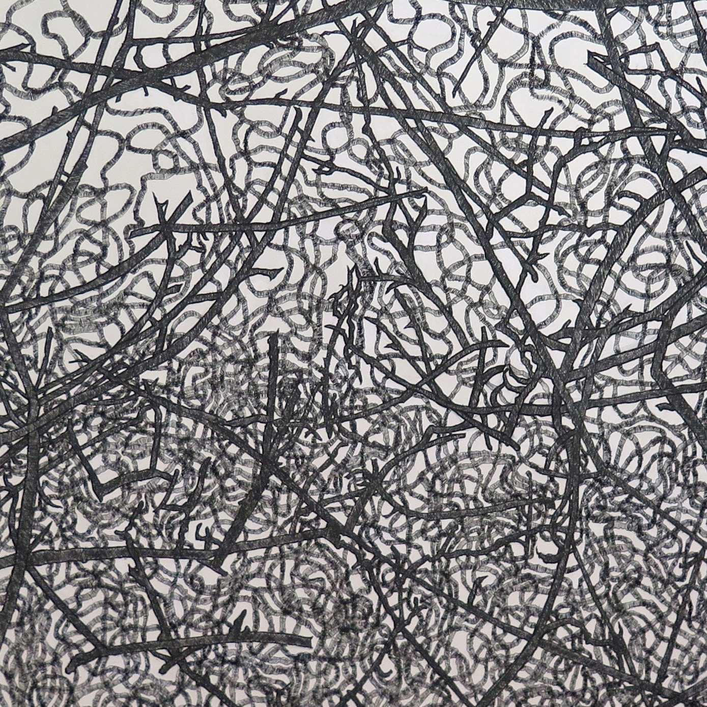 Branches and Lines, 2022, 60 in h x 85.875 in w, ink, marker and gouache on rag paper