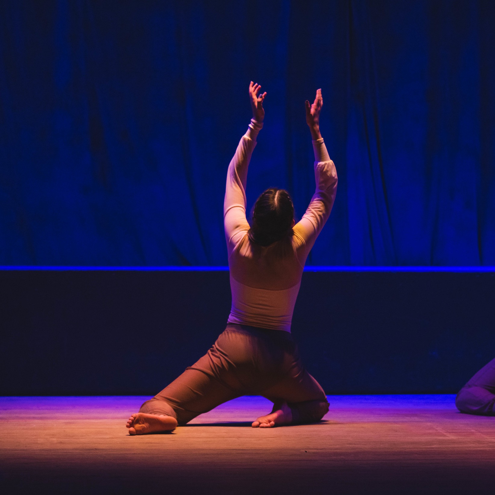 Dancer on their knees facing away from the camera, arms and body reaching towards the ceiling