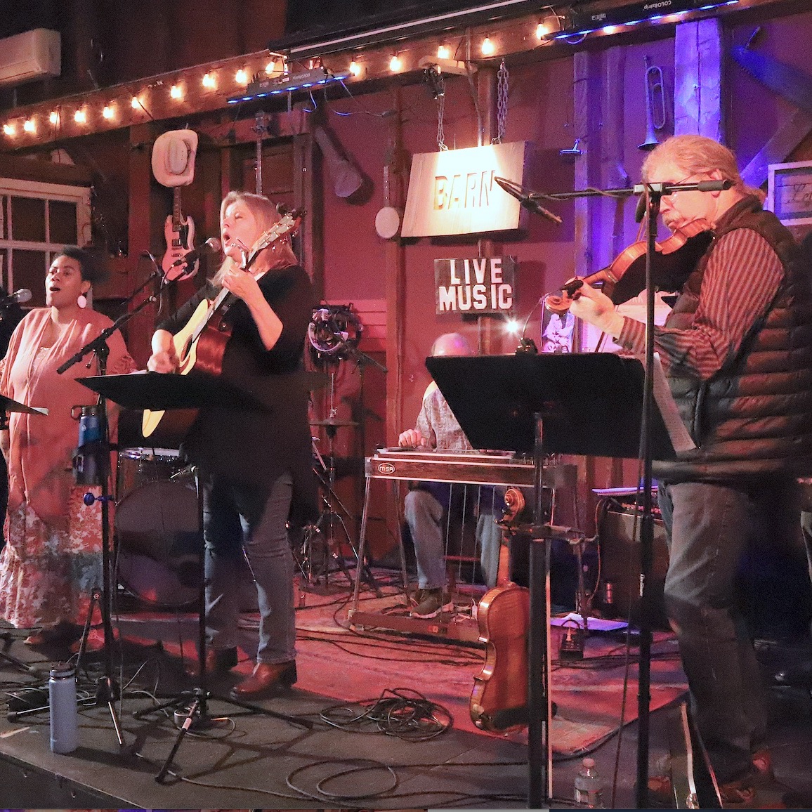 The Aimee Van Dyne Band