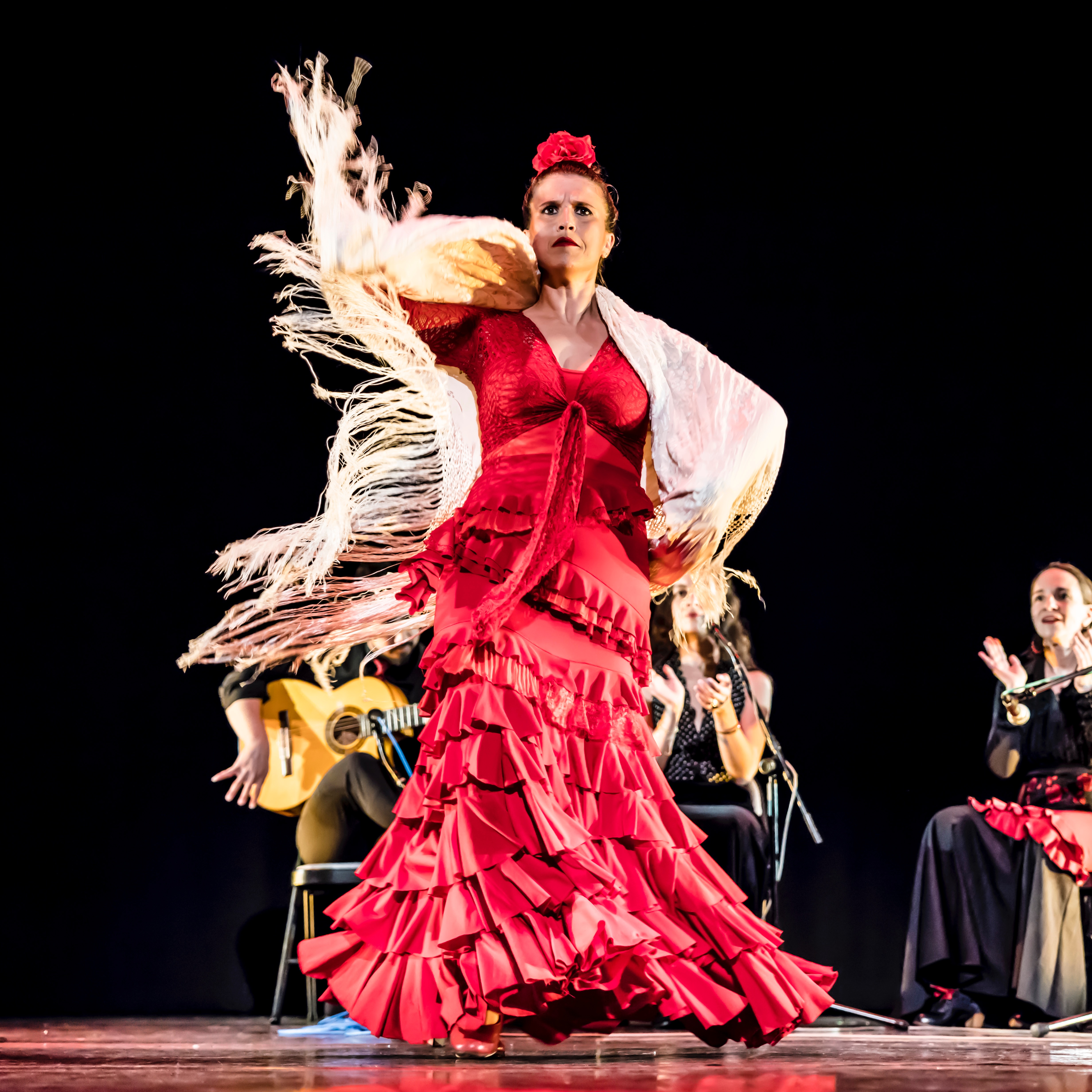 Flamenco Dancer on a Red Dress