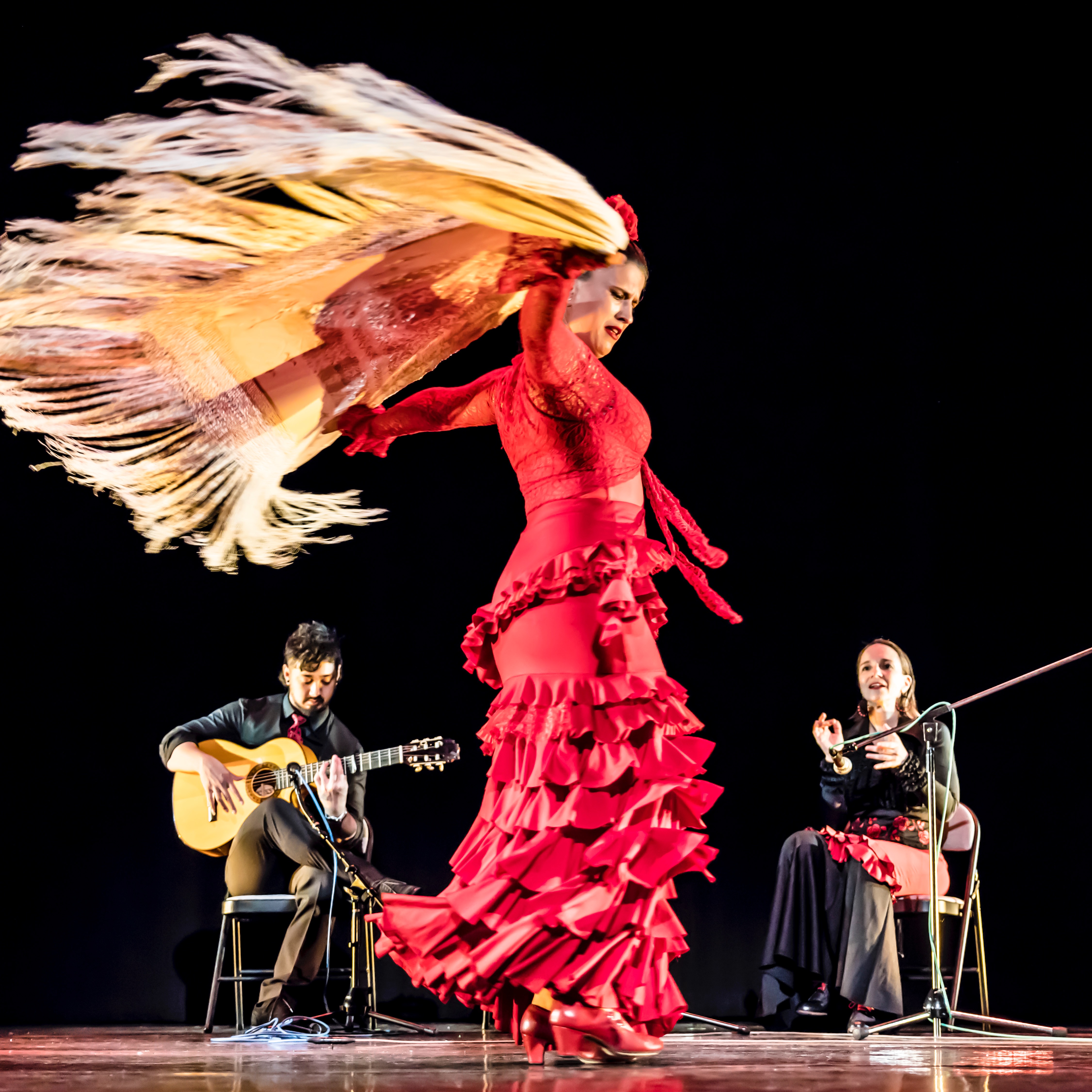 Flamenco Dancer on a Red dress