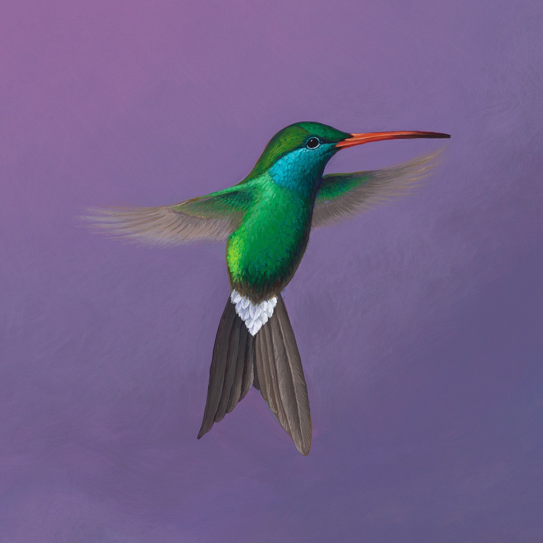 Realistic acrylic painting of a green hummingbird in flight.