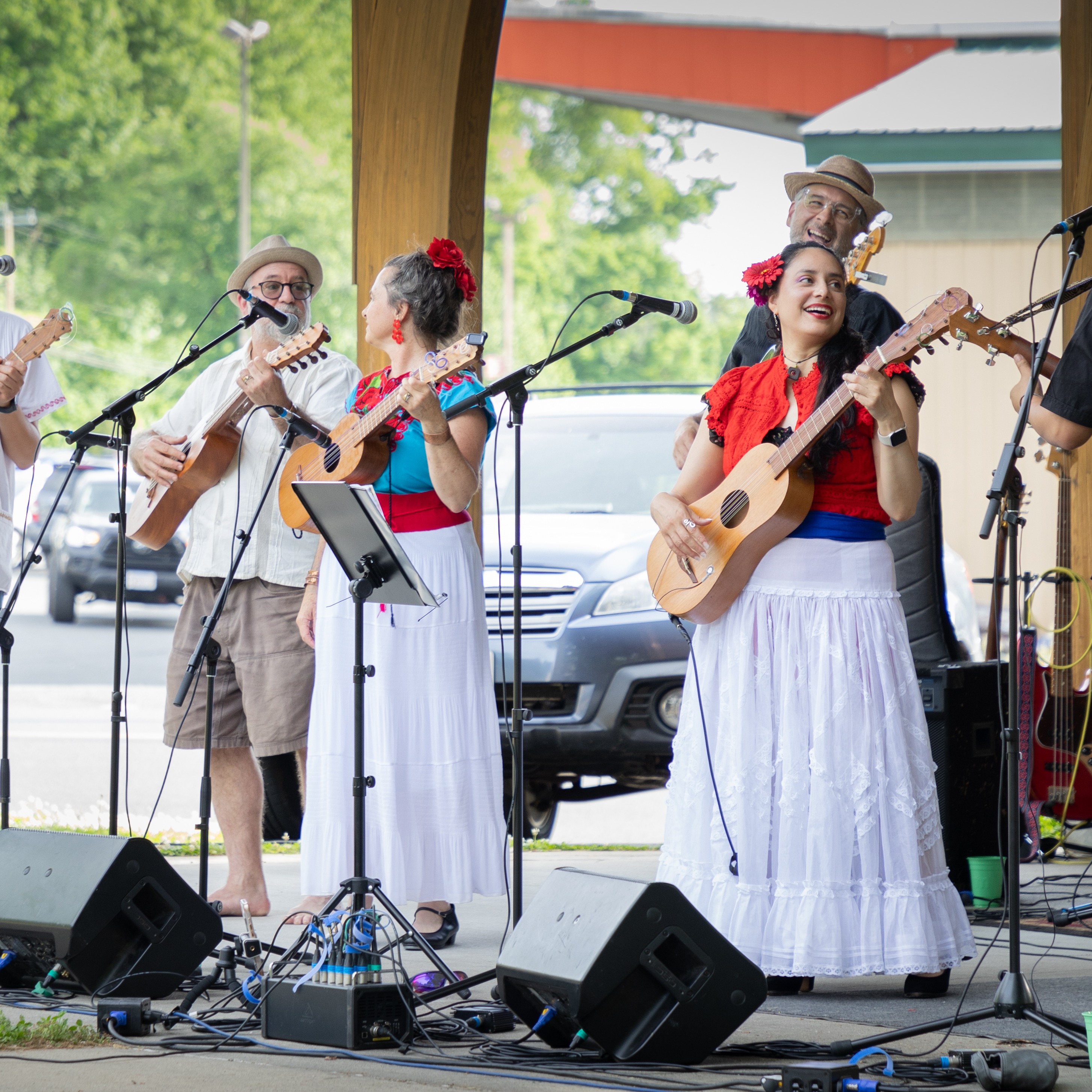 Son Jarocho Band