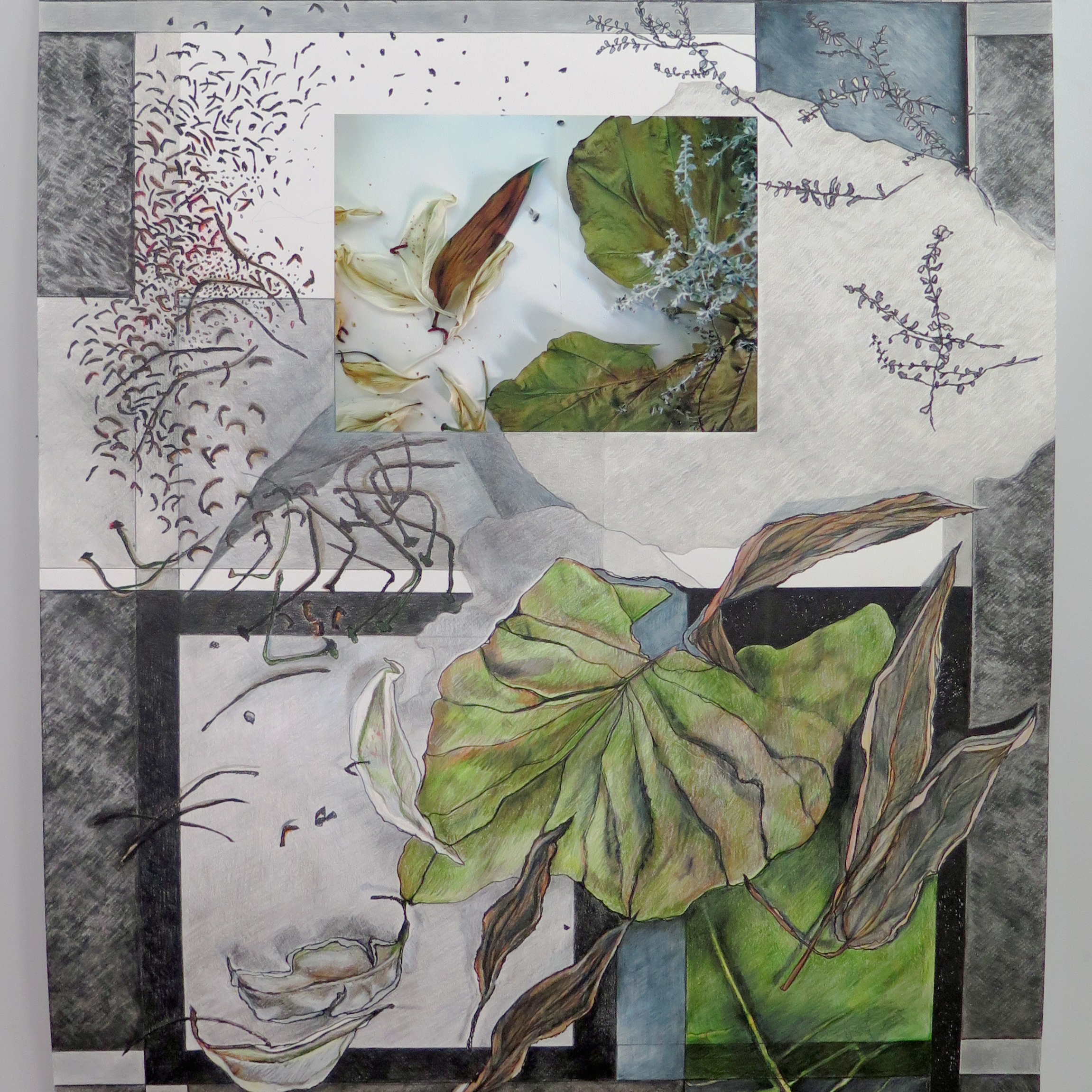 Repeated Forms 1, 2024: a color drawing of prominent forms found in a photograph that is printed on the same page.