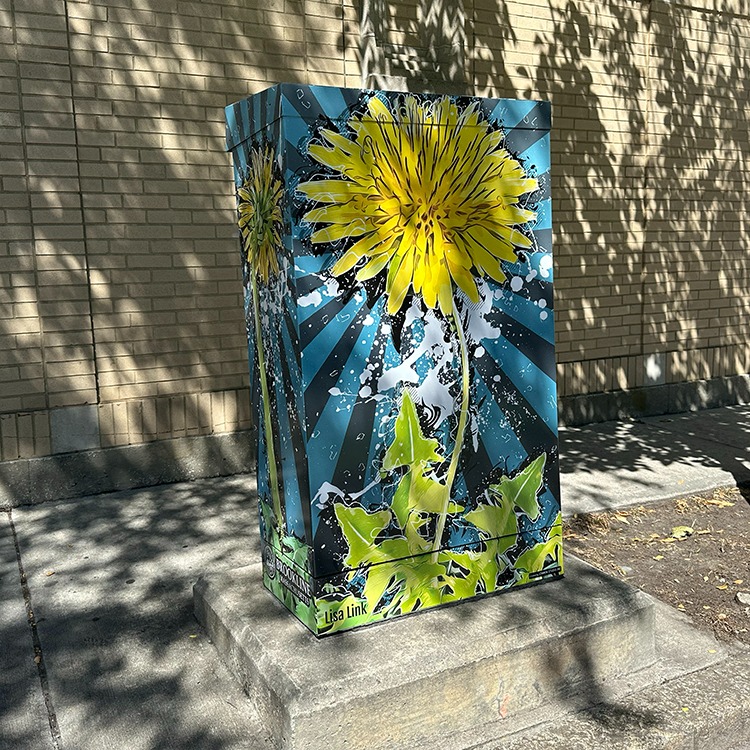 dandelion on electrical box