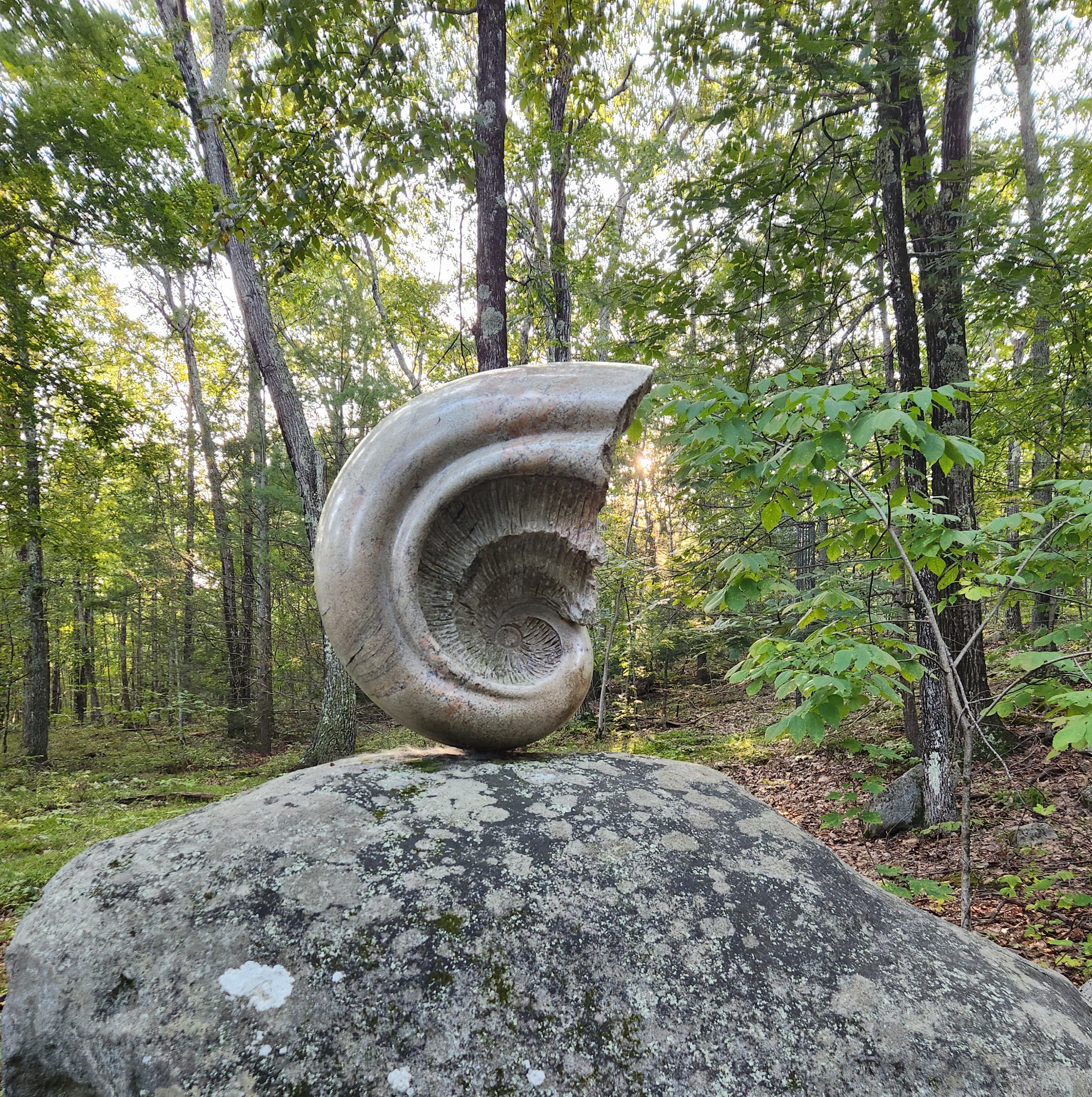 granite sculpture resembling a nautilus shell spiral in a natural setting backed by trees and sun