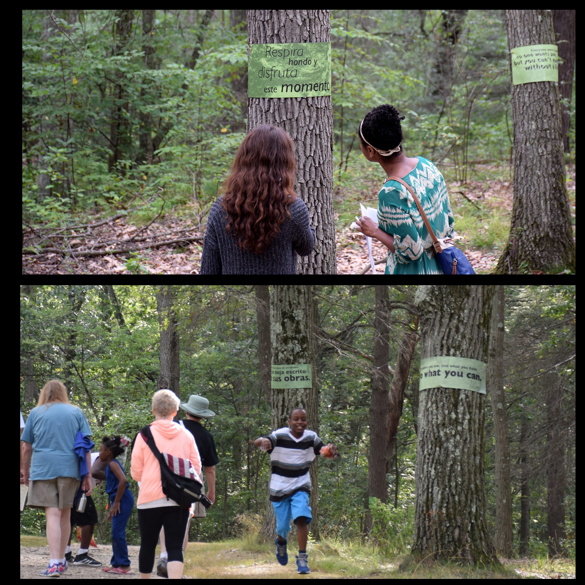 visitors look at word wraps in park.