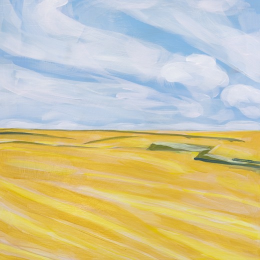 Landscape of yellow fields with blue sky.