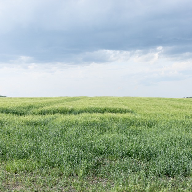 Photograph of a landscape with green fields