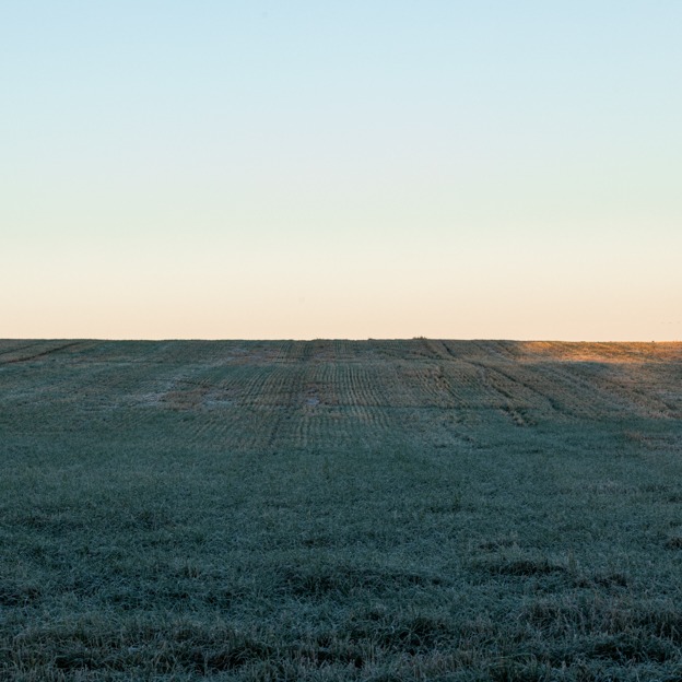 Photograph of a dark greenish gray landscape