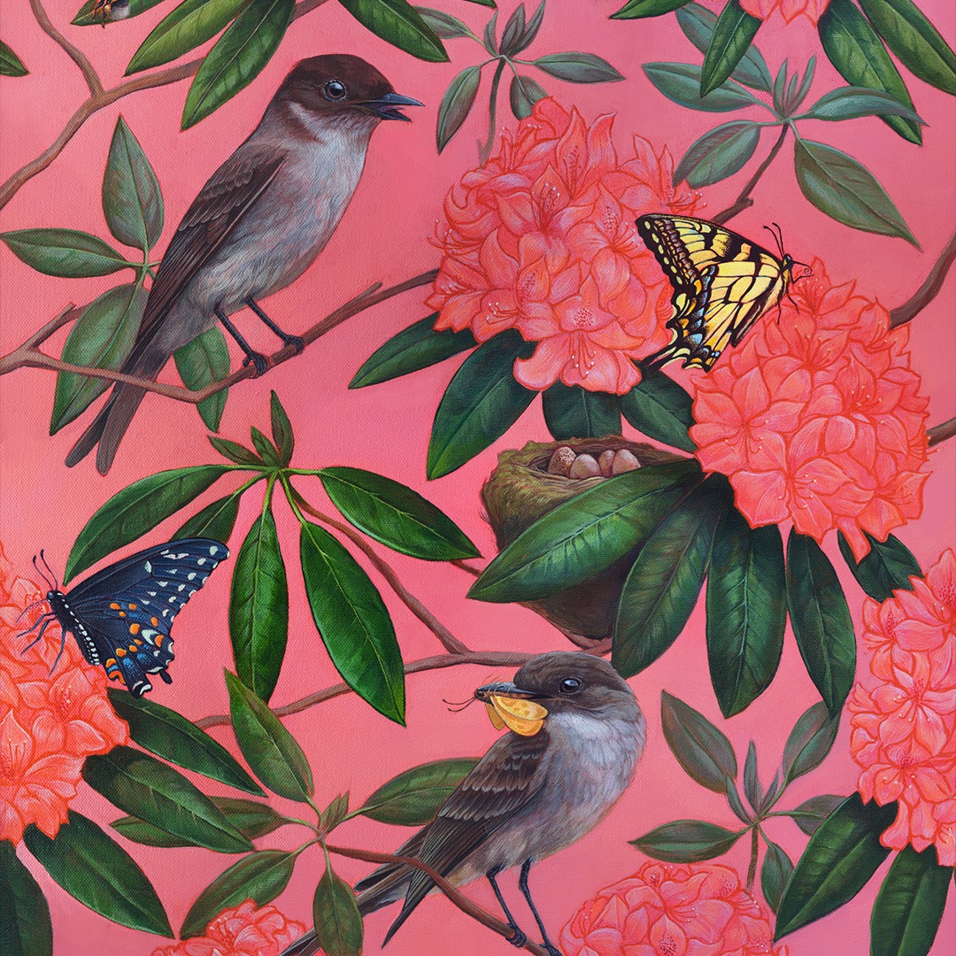 Painting of Eastern Phoebes by Emily Bunnell