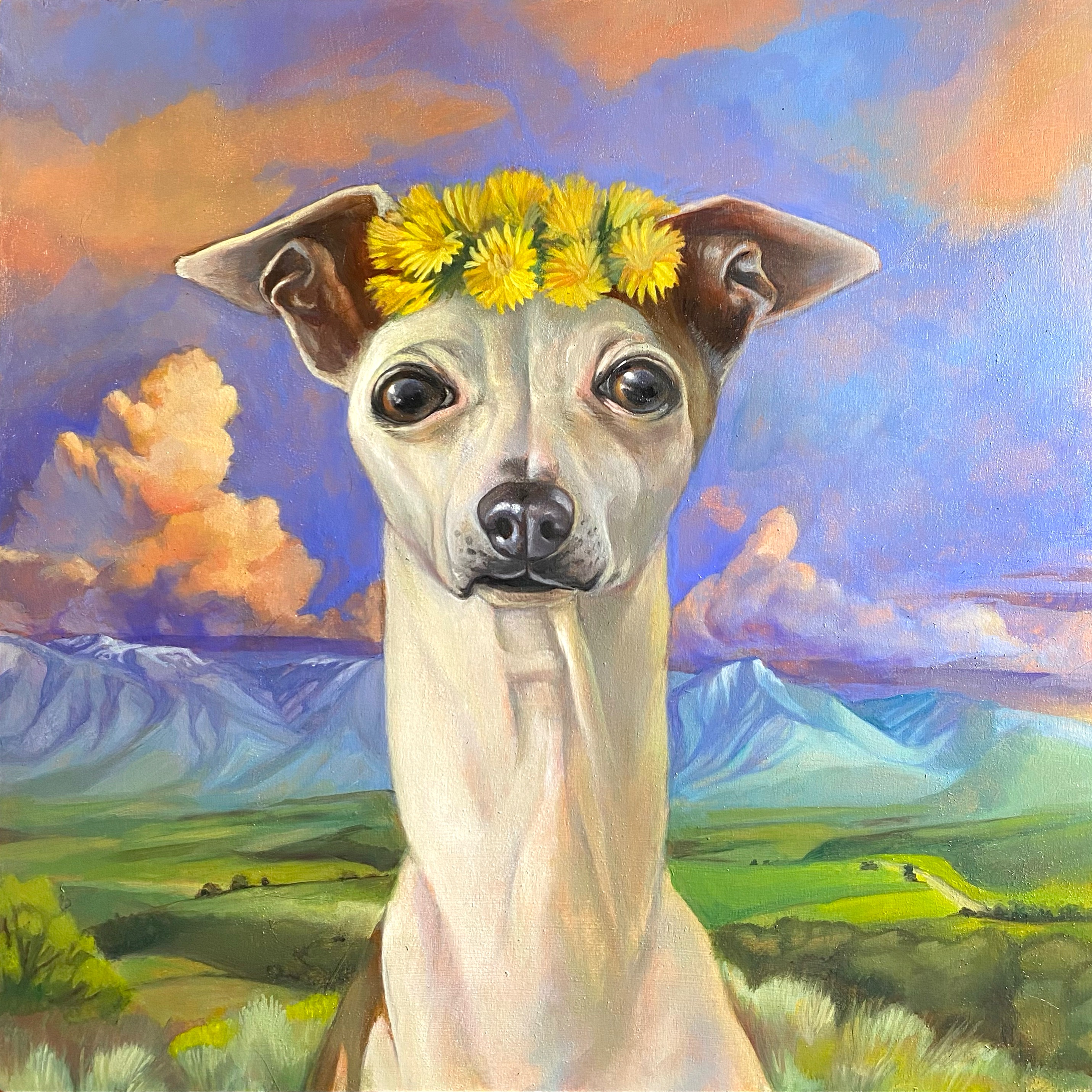 an Italian greyhound with dandelion crown on her head looks out over a mountain valley with sun-lit clouds