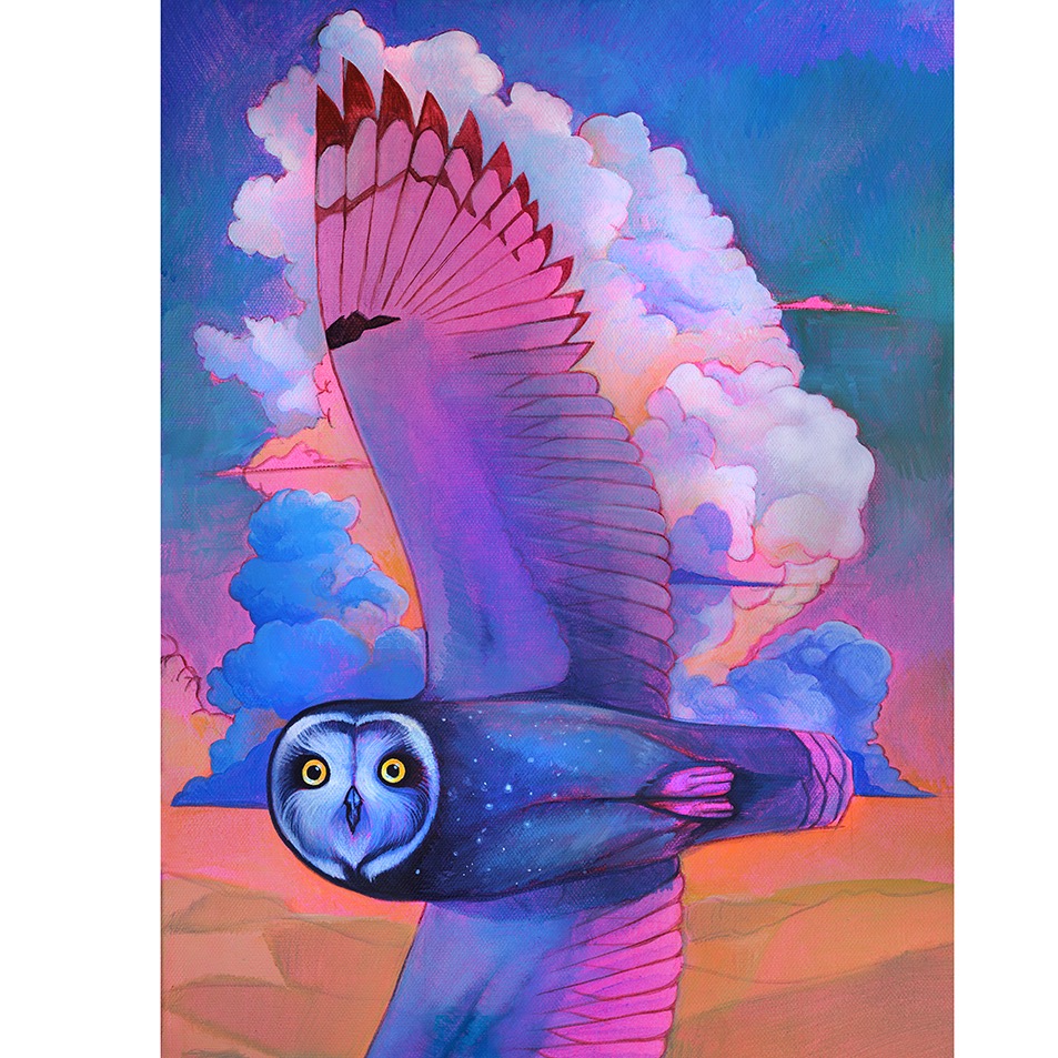 brightly colored owl with night sky across their torso flies over a desert landscape, with large cumulonimbus thunder cloud looming behind