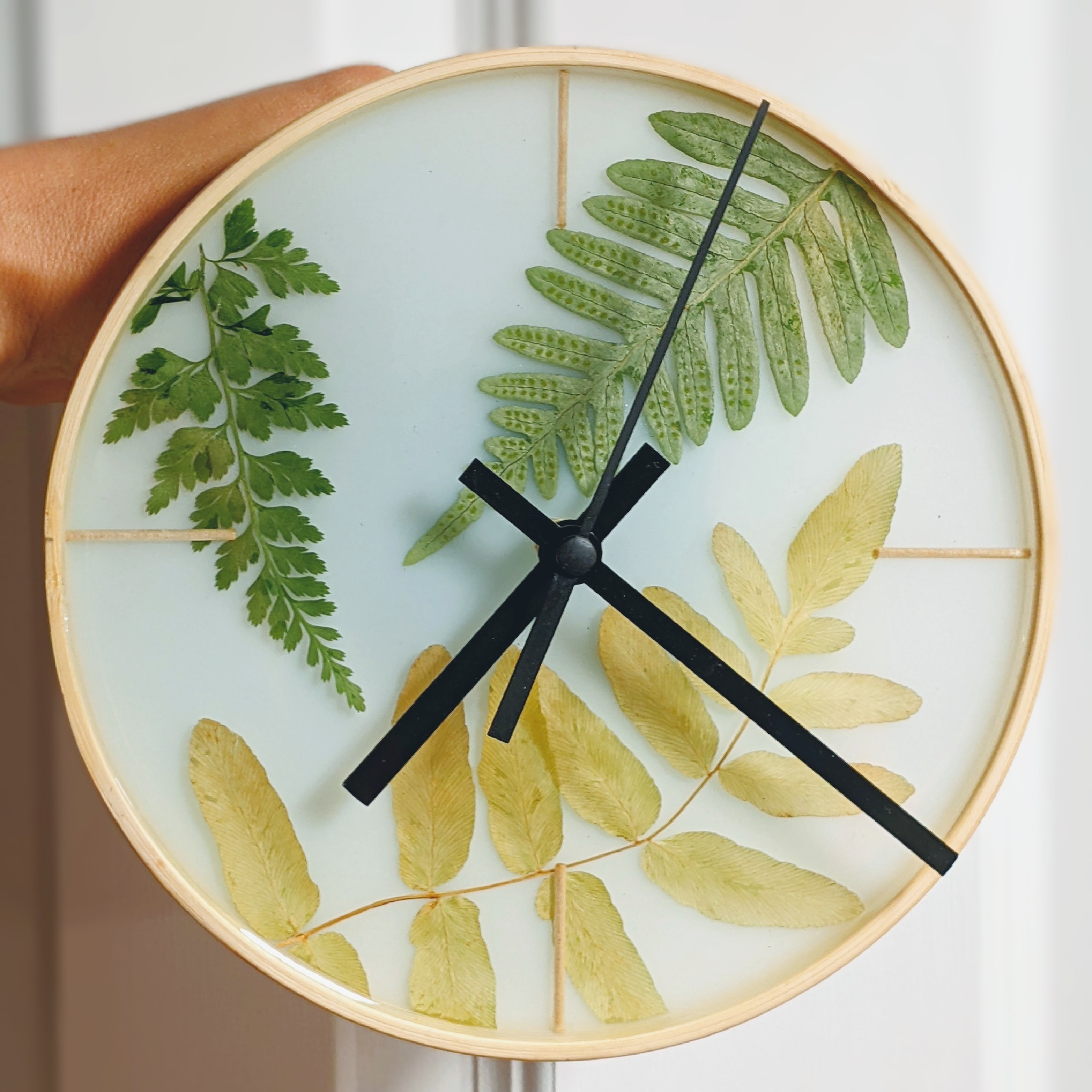 Minimalistic Clock with simple black hands. Different types of fern ornate the pale blue background