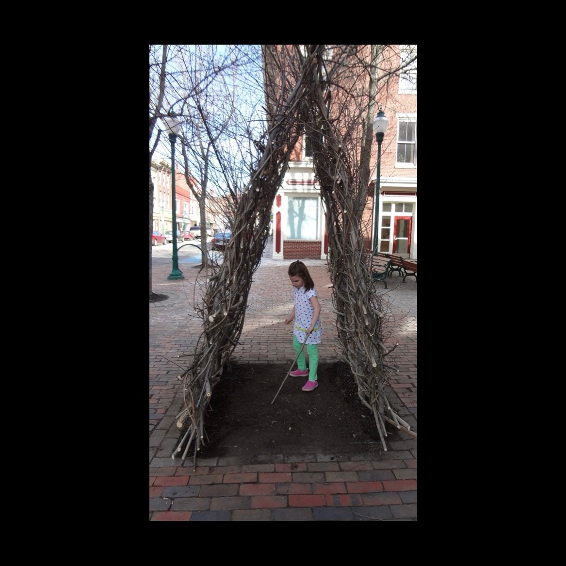 Local exploring woven twig installation 