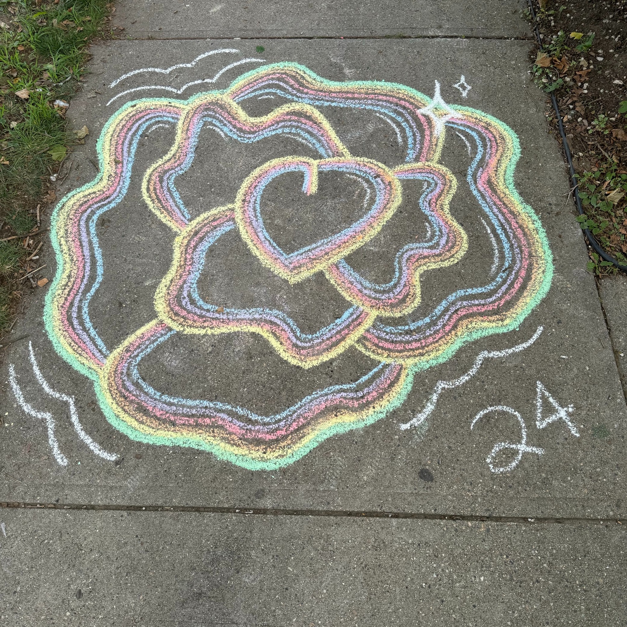 My Artistic Take on a Flower