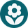 blossoms icon