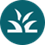 Sprout icon