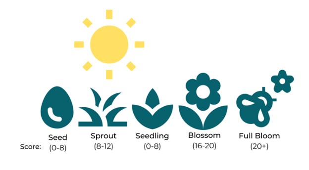 Graphic showing the "growth stages" of a profile, from seedling to full bloom!