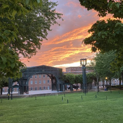 Morning at Boarding House Park