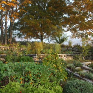 Todd Lynch –  Ecotropy,llc