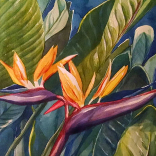 Denise Walter