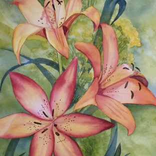 Naomi Wilsey Art