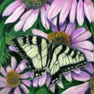 Laurie Bebick