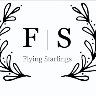 Flying Starlings