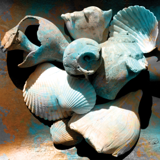 Paul Gaj Art & Design