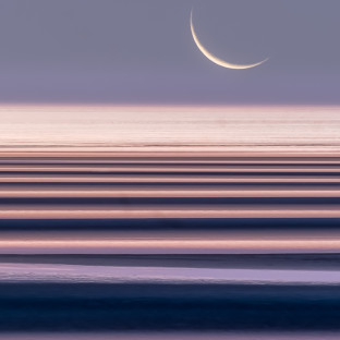 Erica Joy Photography