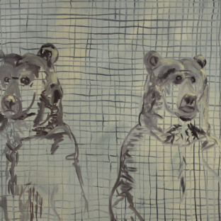 Amy Newland