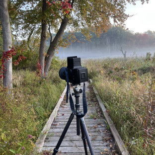 Suzanne Révy Photography